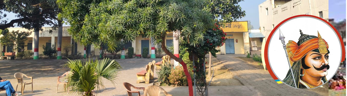 company presentation